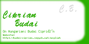 ciprian budai business card